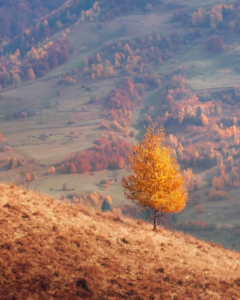 Úžasná scéna na podzimních horách — Stock fotografie