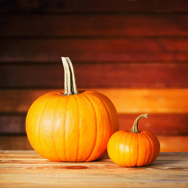 Two pumpkins on wooden table — Stock Photo, Image