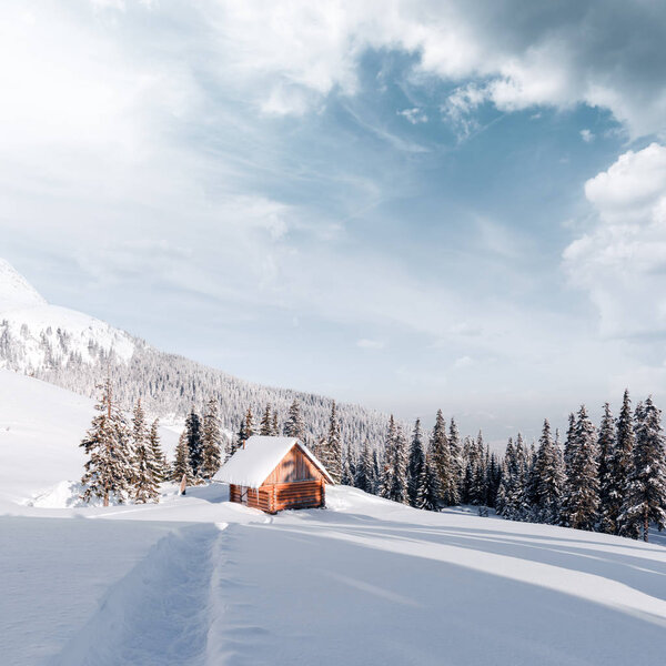 Fantastic landscape with snowy house