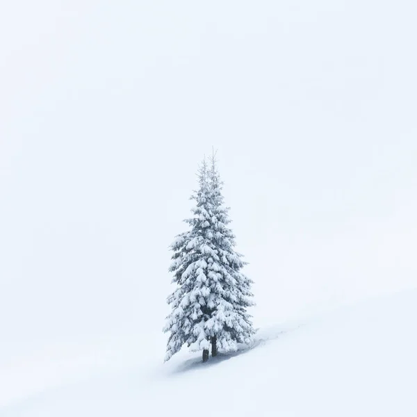 Fantastisk vinterlandskap – stockfoto