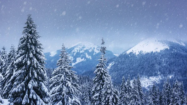 Fantastisk vinterlandskap – stockfoto