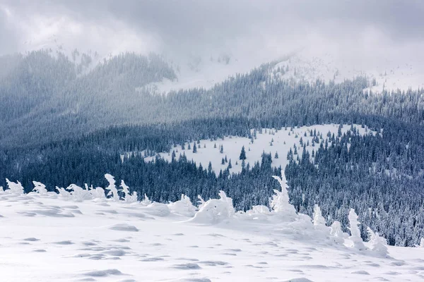 Fantastisch winterlandschap — Stockfoto