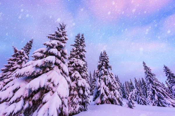 Fantástico paisaje de invierno —  Fotos de Stock