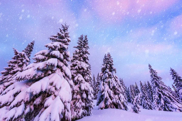 Fantastic winter landscape — Stock Photo, Image