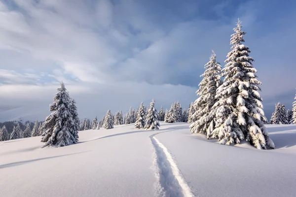 Fantastico paesaggio invernale — Foto Stock