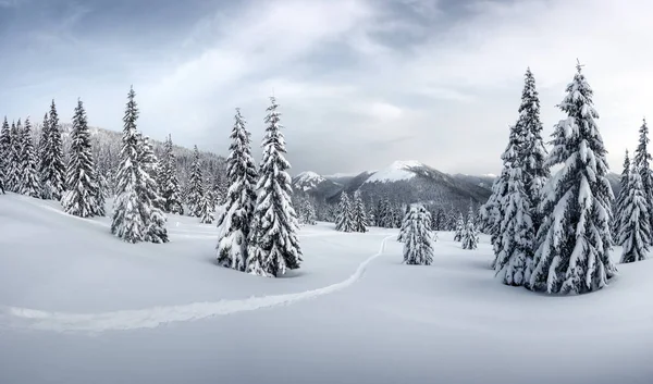 Fantastiskt vinterlandskap — Stockfoto