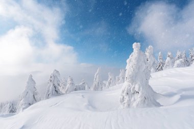 Muhteşem kış manzarası
