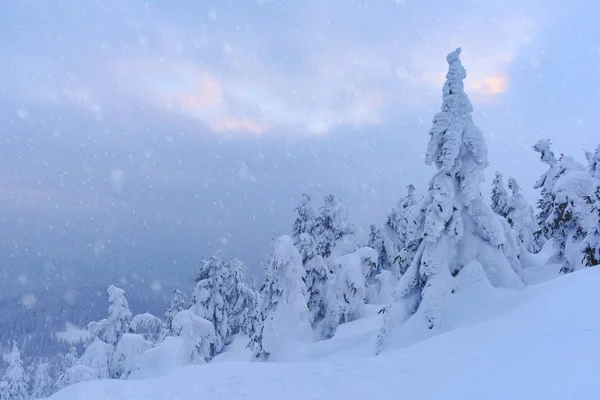 Fantástico paisaje de invierno —  Fotos de Stock