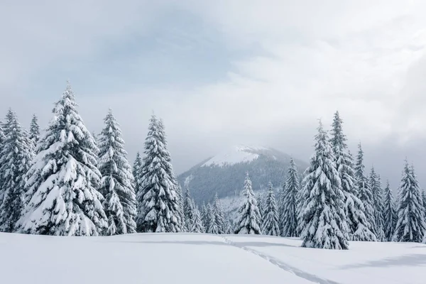 Fantástica paisagem de inverno — Fotografia de Stock