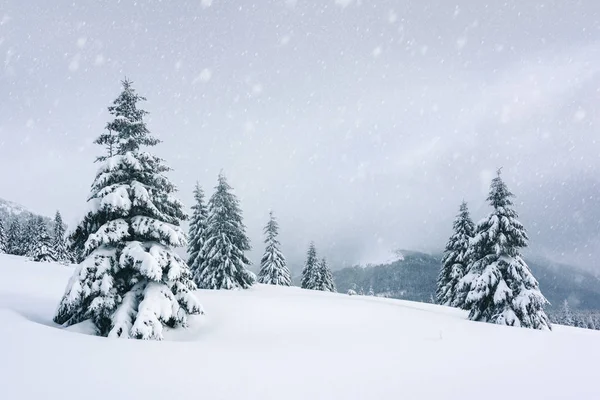 Fantastico paesaggio invernale — Foto Stock