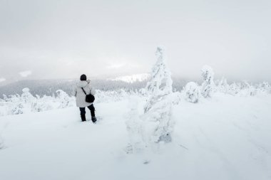 Sırt çantalı yalnız fotoğrafçı.