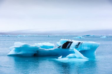 Jokulsarlon 'daki buzdağları