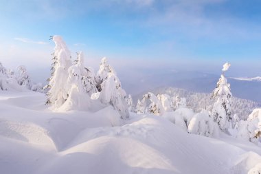 Muhteşem kış manzarası