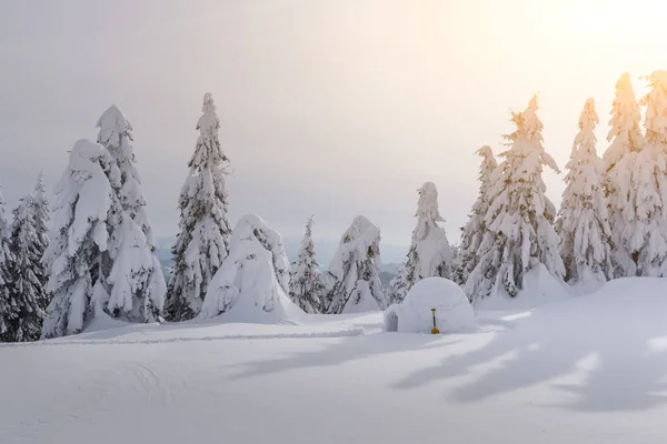 Vera casa igloo neve in inverno montagne dei Carpazi — Foto Stock