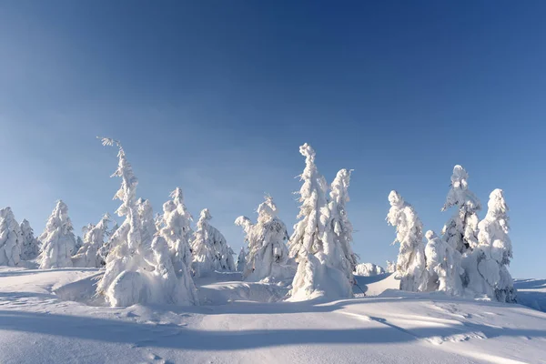 Fantastisch winterlandschap — Stockfoto