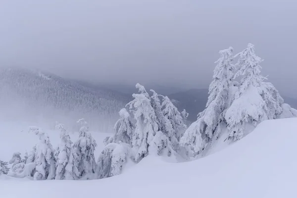 Fantastisch winterlandschap — Stockfoto