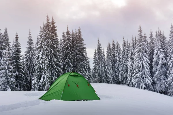 Green tent in winter mountains — Stock Photo, Image