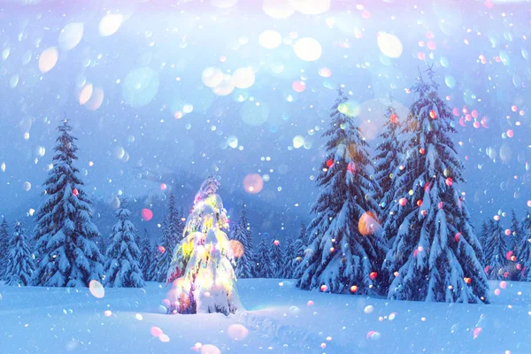 Kerstboom met lichtjes — Stockfoto