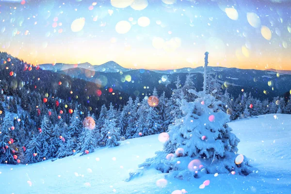 Fantastico paesaggio invernale — Foto Stock