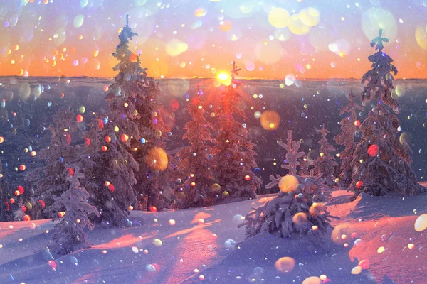 在雪山中的神奇橙色冬季景观在阳光下发光 戏剧性的冬日与雪树的场景 Dof Bokeh 轻后处理效果 圣诞节假期拼贴画 — 图库照片