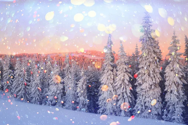 Dramatische winterliche Szene mit verschneiten Bäumen. — Stockfoto