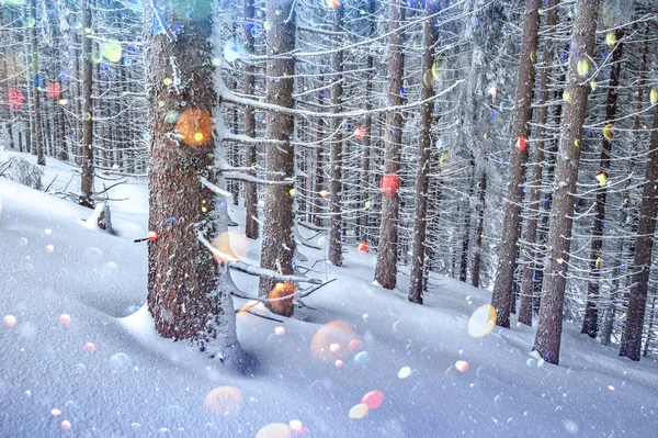 Dramatische winterse scène met besneeuwde bomen. — Stockfoto