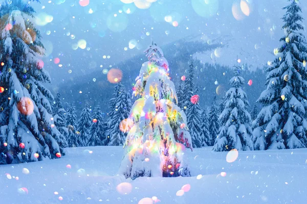 Christmas tree with lights — Stock Photo, Image
