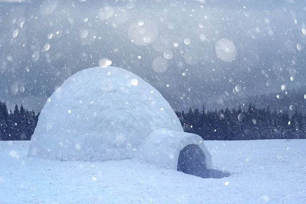 Casa iglú de nieve real en las montañas de los Cárpatos de invierno — Foto de Stock