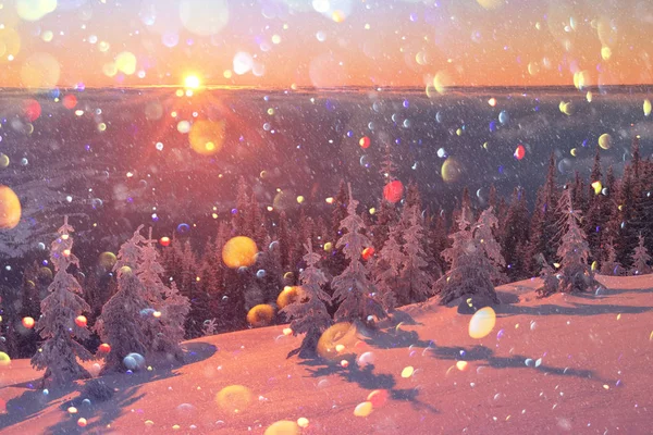 Cena invernal dramática com árvores nevadas. — Fotografia de Stock