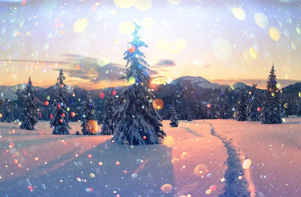 Dramatische winterliche Szene mit verschneiten Bäumen. — Stockfoto