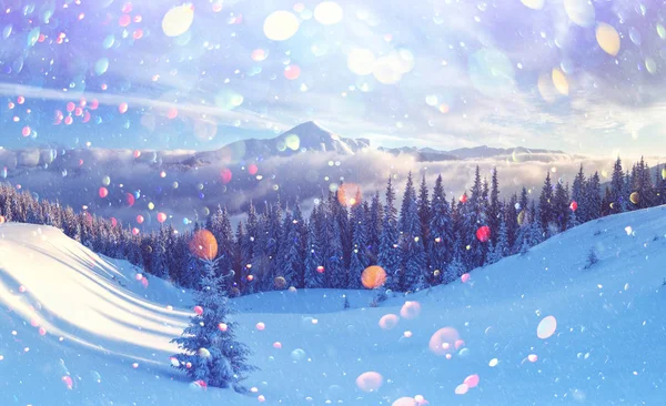Muhteşem kış manzarası — Stok fotoğraf