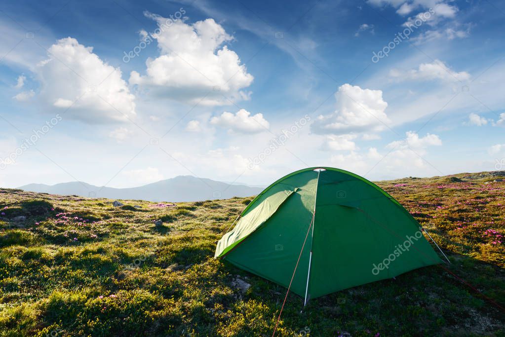 Picturesque scene with green tent and blue sky