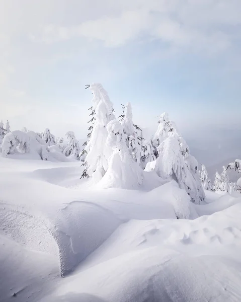 Fantástica paisagem de inverno — Fotografia de Stock