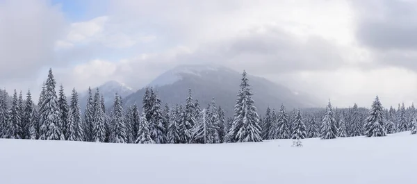 Panorama di fantastico paesaggio invernale con alberi innevati — Foto Stock