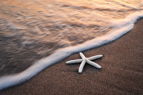 Erstaunliche mediterrane Meereslandschaft mit goldenem Sand — Stockfoto