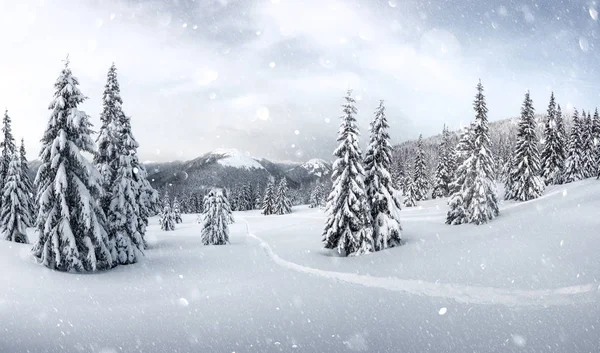 Fantástico paisaje de invierno — Foto de Stock