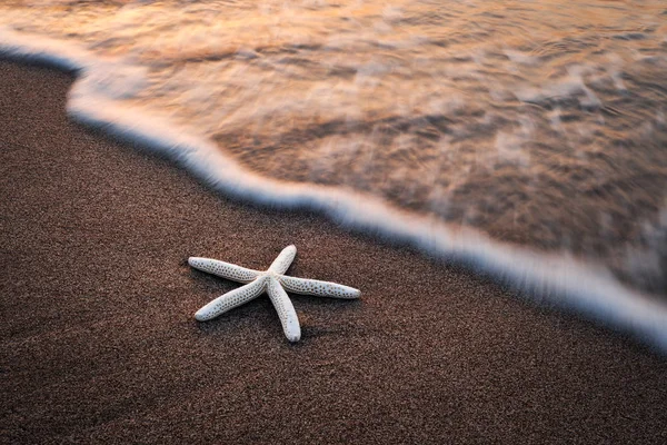 黄金の砂と素晴らしい地中海海の風景 — ストック写真