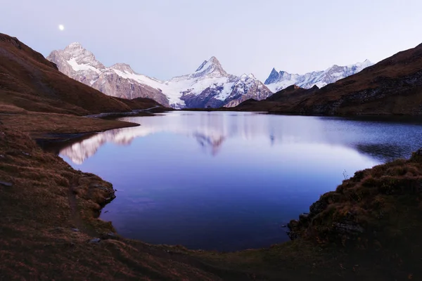 Bachalpsee 호수에 그림 보기 — 스톡 사진