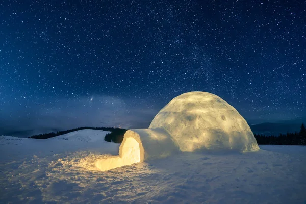 Cena de Wintry com árvores nevadas — Fotografia de Stock