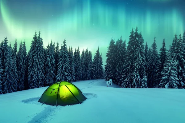 แสงเหนือในป่าฤดูหนาว — ภาพถ่ายสต็อก
