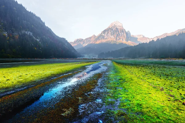 Pintoresca vista primaveral del lago Obersee en los Alpes suizos — Foto de Stock