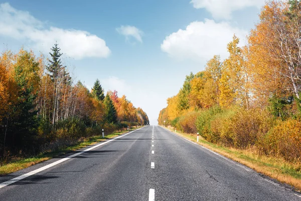 Increíble vista de carretera alpina, bosque de alerce naranja y altas montañas — Foto de Stock