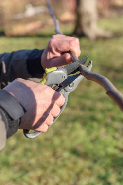 Bahar zaman Bahçe çalışması