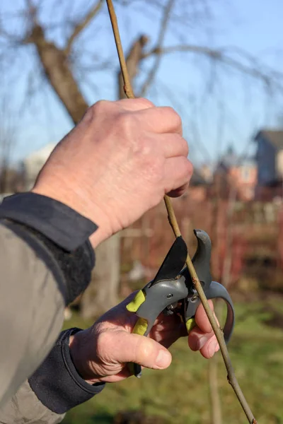 Gardening work in spring time