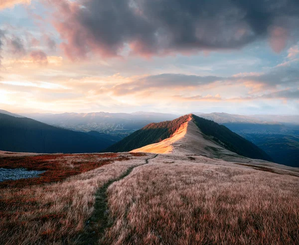 View of the grassy hills — Stock Photo, Image