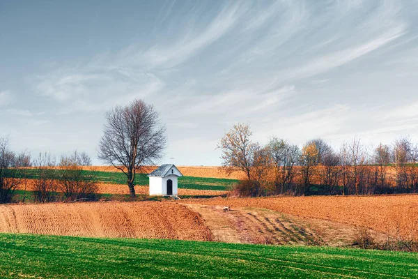 Kleine Kapelle auf landwirtschaftlichem Feld — Stockfoto