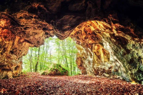 Печера в весняному лісі — стокове фото