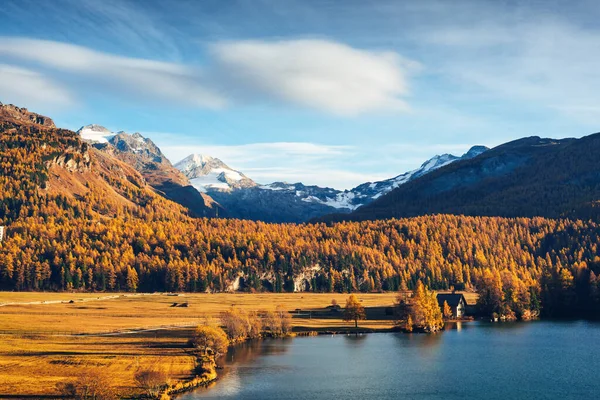 Lago d'autunno Sils nelle Alpi svizzere — Foto Stock