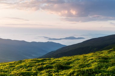 yemyeşil çimenler dağlarla kaplı çayır