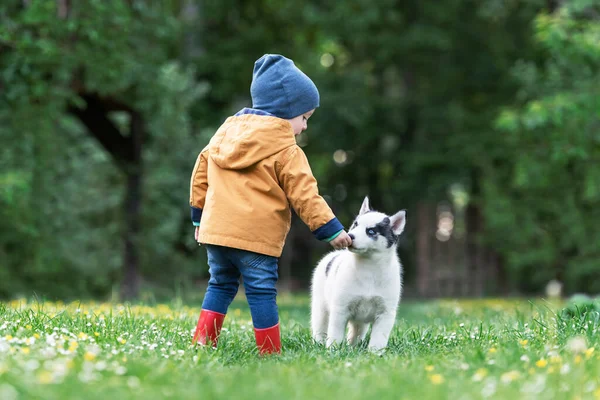 Malé dítě ve žluté bundě s bílým psem štěně — Stock fotografie
